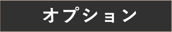 オプション