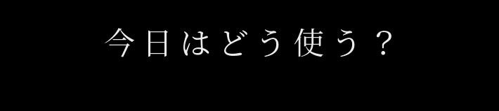 今日はどう使う？